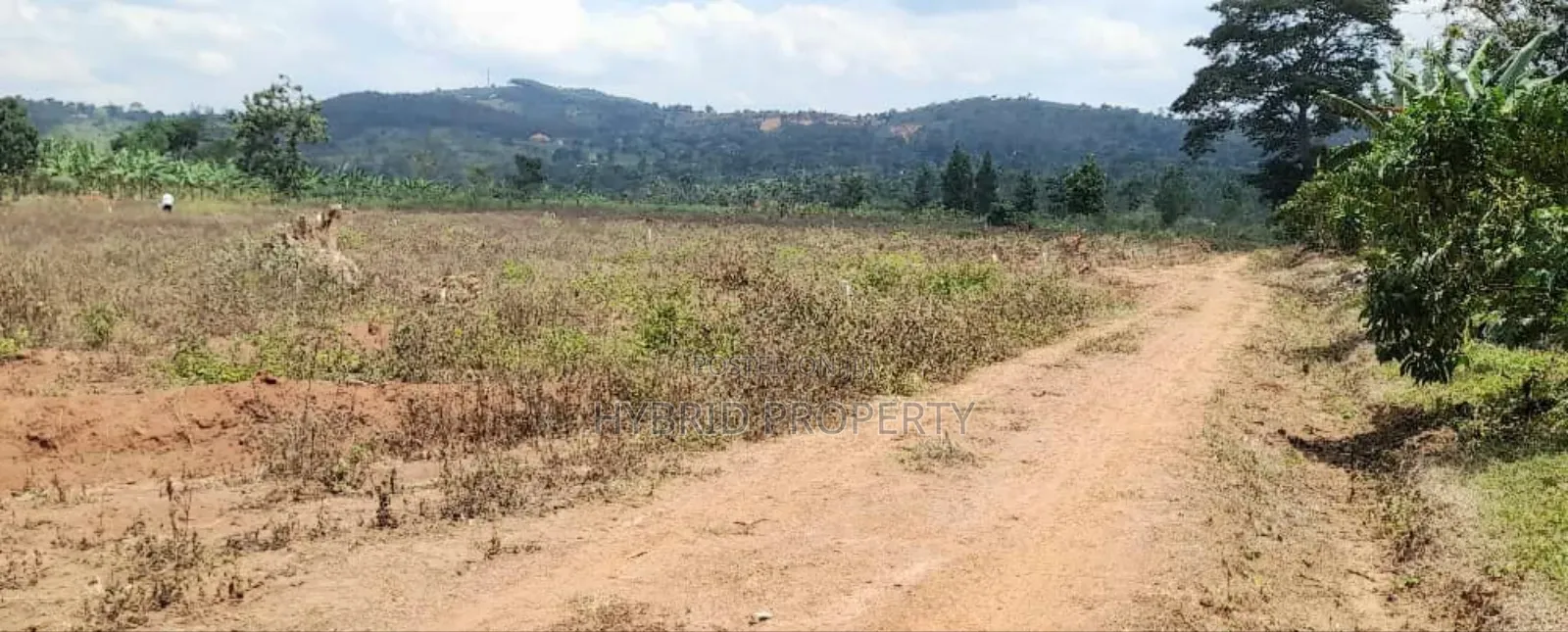 Prime Plots For Sale At Nampunge~Katiiti Divine Land Estate.