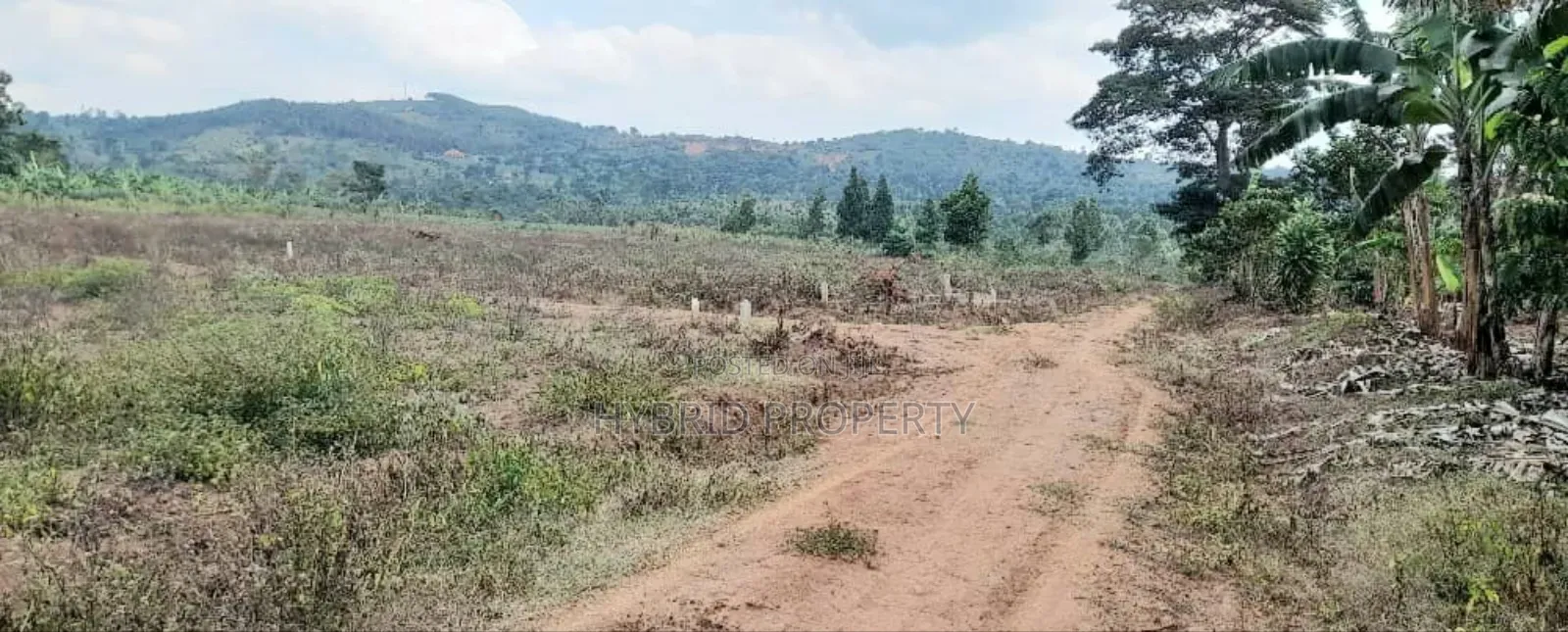 Prime Plots For Sale At Nampunge~Katiiti Divine Land Estate.