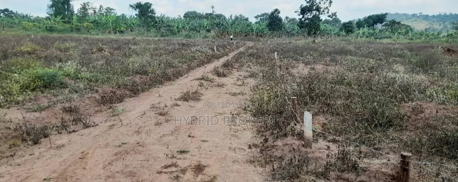 Prime Plots For Sale At Nampunge~Katiiti Divine Land Estate.