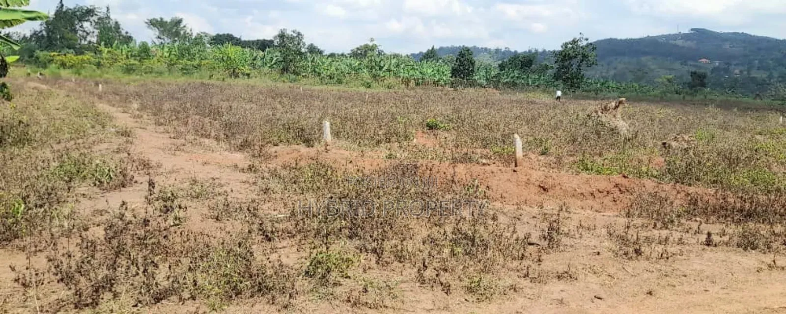 Prime Plots For Sale At Nampunge~Katiiti Divine Land Estate.