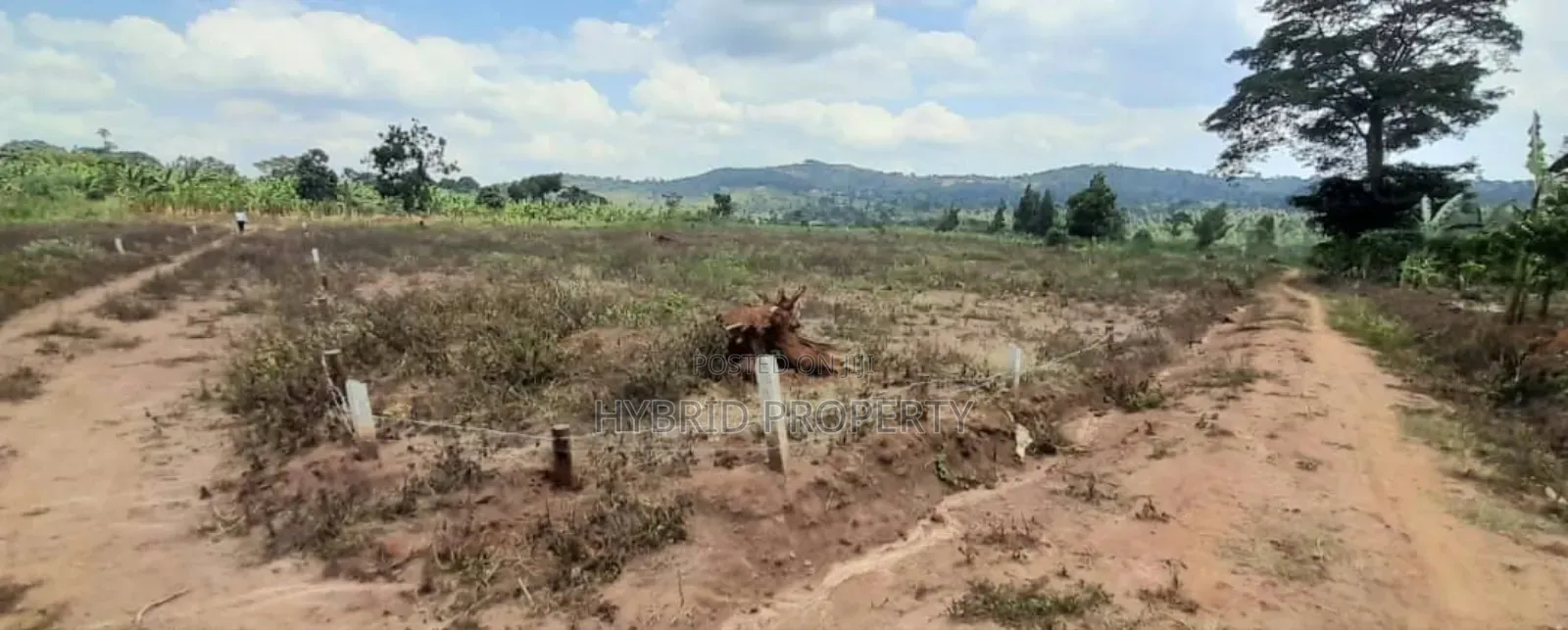 Prime Plots For Sale At Nampunge~Katiiti Divine Land Estate.