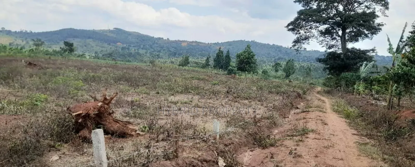 Prime Plots For Sale At Nampunge~Katiiti Divine Land Estate.