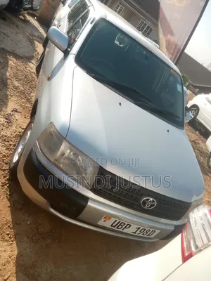 Toyota Probox 2010 Silver