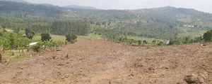 Prime Plots For Sale At Nampunge Hill View Estate~Hoima Rd V