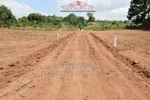 Prime Plots For Sale At Kasenge~Nsagu Nakawuka~Entebbe Road.