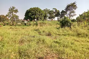 64 Acres of Farm Land Available for Rent in Bbaale, Kayunga