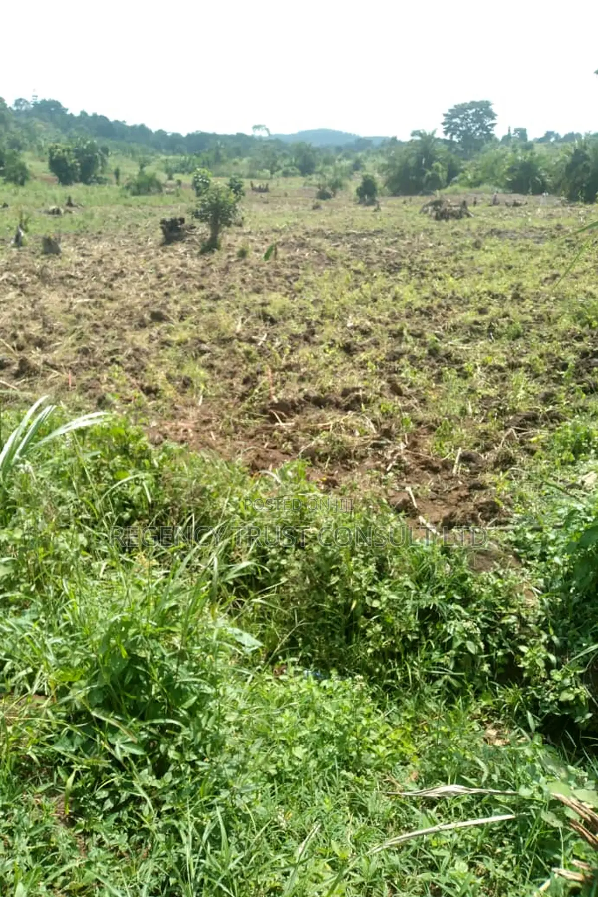 64 Acres of Farm Land Available for Rent in Bbaale, Kayunga
