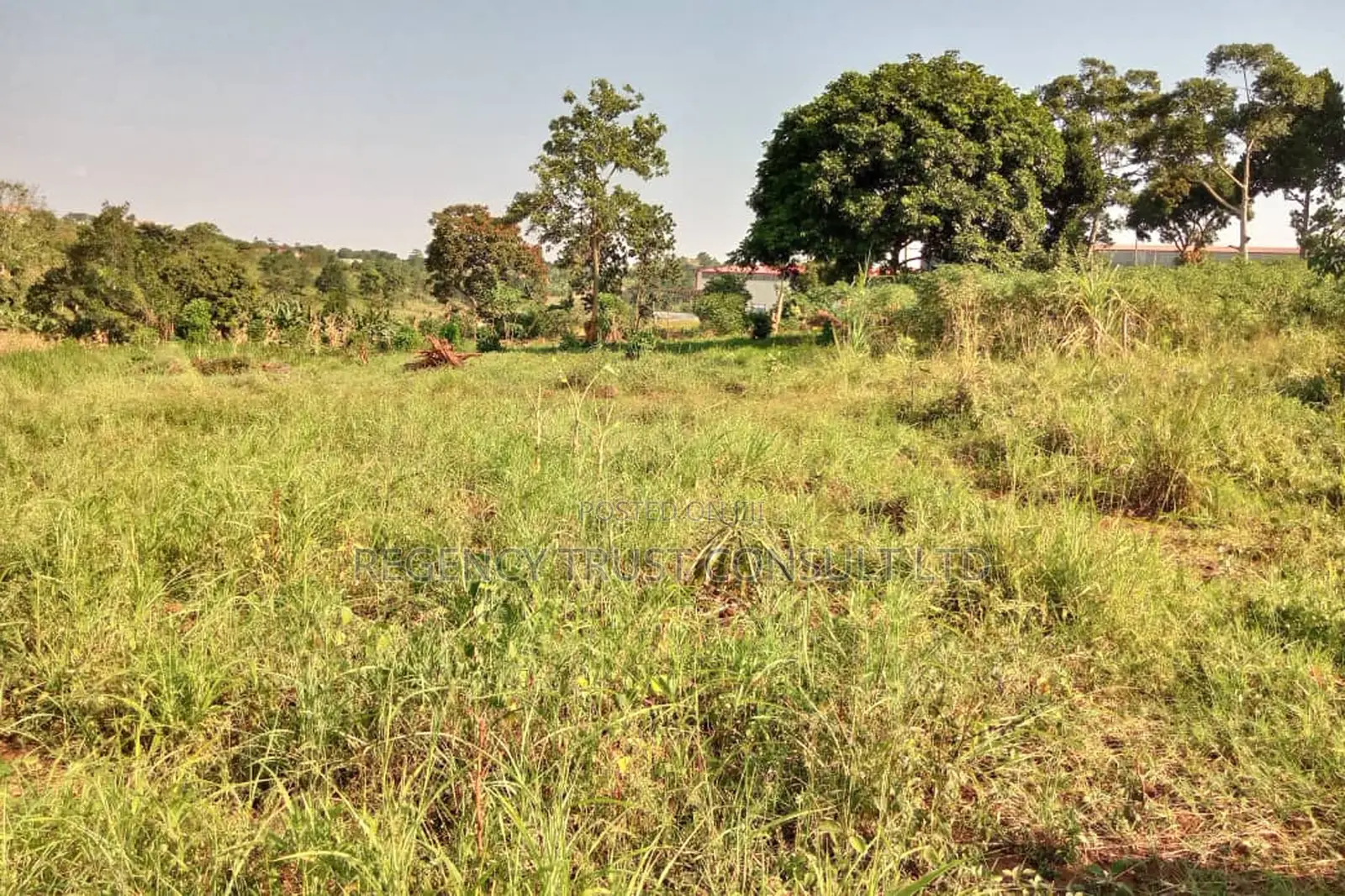 64 Acres of Farm Land Available for Rent in Bbaale, Kayunga
