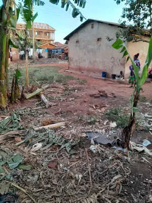 Plot for Sale