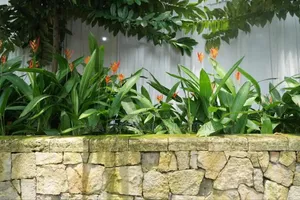 Planting Flowers of the Same Kind