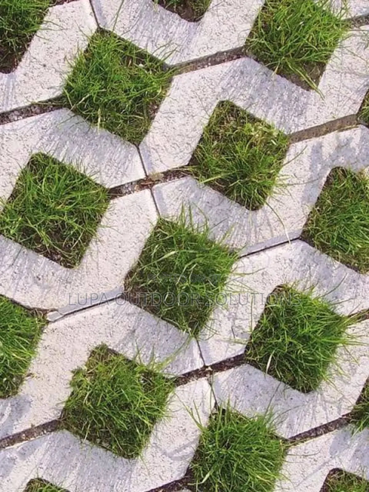 Planting Flowers of the Same Kind