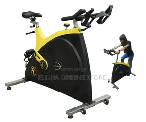Luxury Gym Quality Spinning Exercise Bike