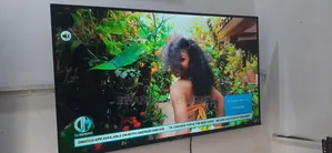Hisense 43 Digital