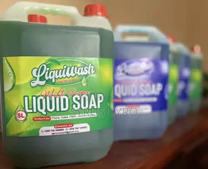 Liquiwash Detergent Enterprises