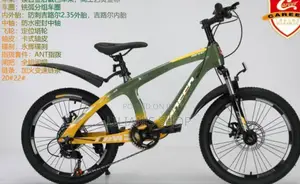 Kids 20" Spock Wheel Bicycle (9years to 16years)