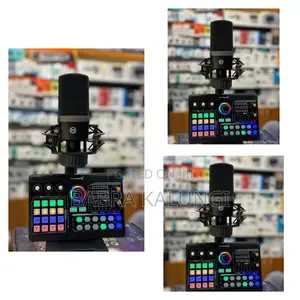 Zeal Sound P300 Professional Podcast Live Sound Card Kit,