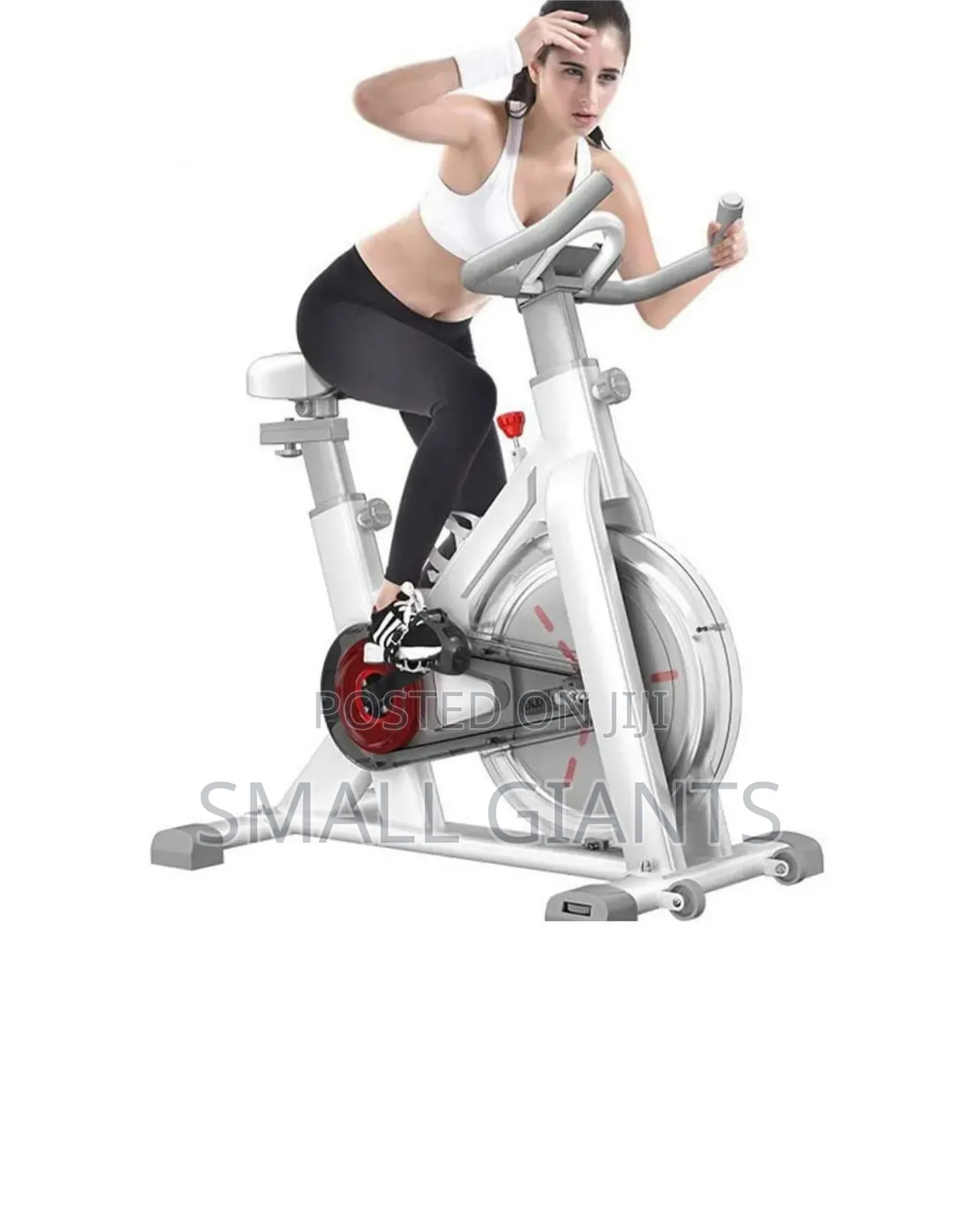 Heavy Indoor Cardio Spinning Exercise Bike