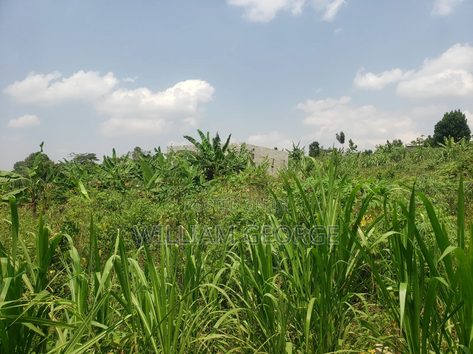 100x100 Land Buwambo, Lugo Estate