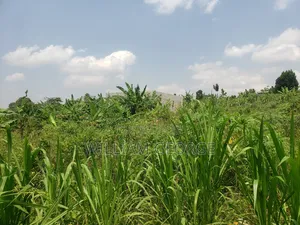 100x100 Land Buwambo, Lugo Estate