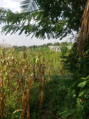 100x100 Land Buwambo, Lugo Estate