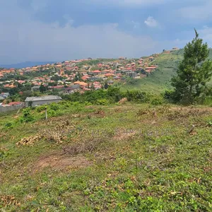 Photo - Entebbe Road, Bwebajja: 50×100ft Plots For Sale At 150m/Plot