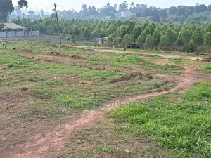 50x100 New Plot for Sale in Namugongo Kikulu.