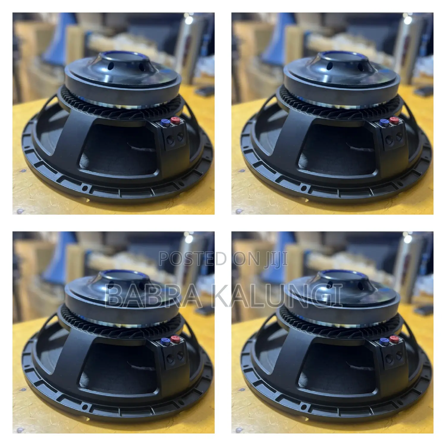 RCF Naked Woofer