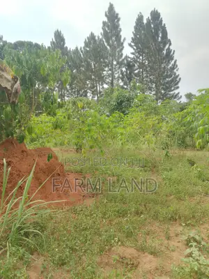 Photo - 50ft100 Plots on Sale in Bweyogerere