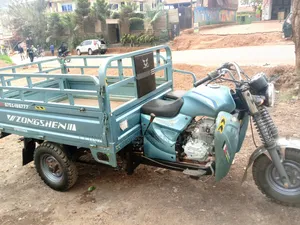Tricycle 2025 Beige