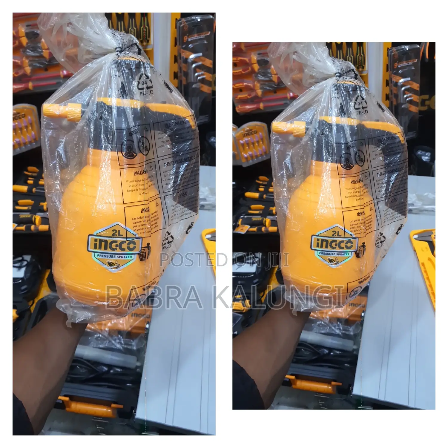Portable Ingco Sprayer