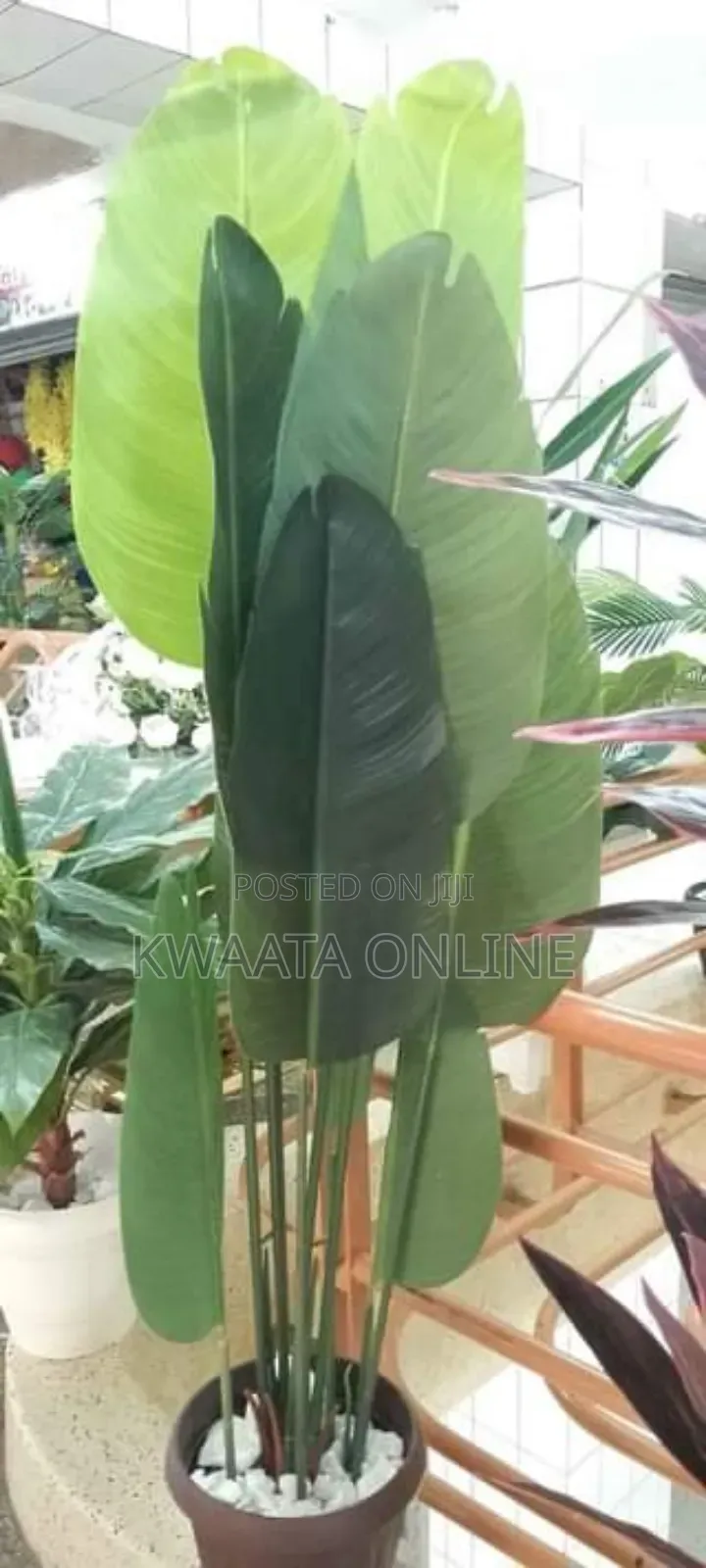 Fake Banana Leaf Plant, Faux Palm Tree, Office Home Decor