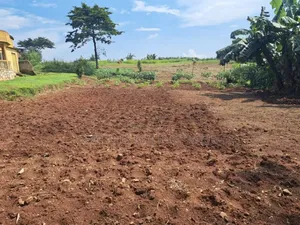 Photo - Masaka Road, Nsangi Town Estate: Plots for Sale at 50m/Plot