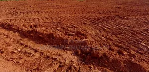 Photo - Masaka Road, Mpigi Buule: Plots for Sale at 13m/Plot