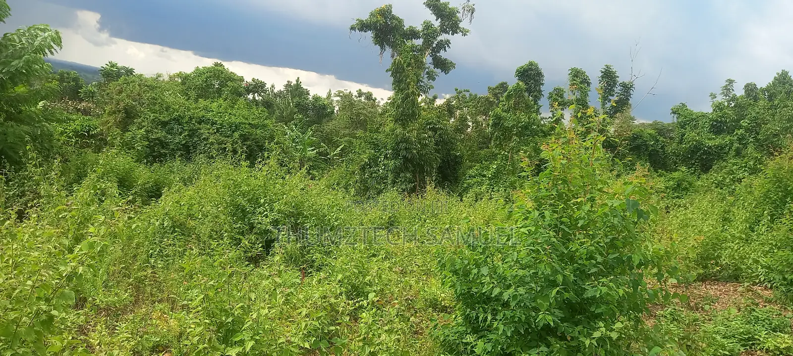 Prime Land 4 Acres for Sale