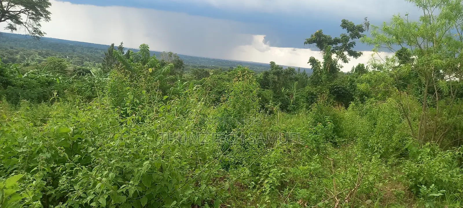 Prime Land 4 Acres for Sale
