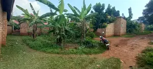 50x100ft Titled Plot at Katikamu