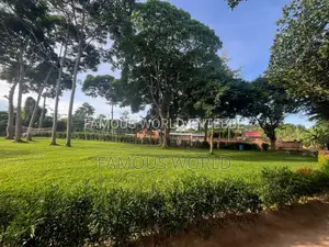 Beach On Sale, Seated On 2 Acres With A Title