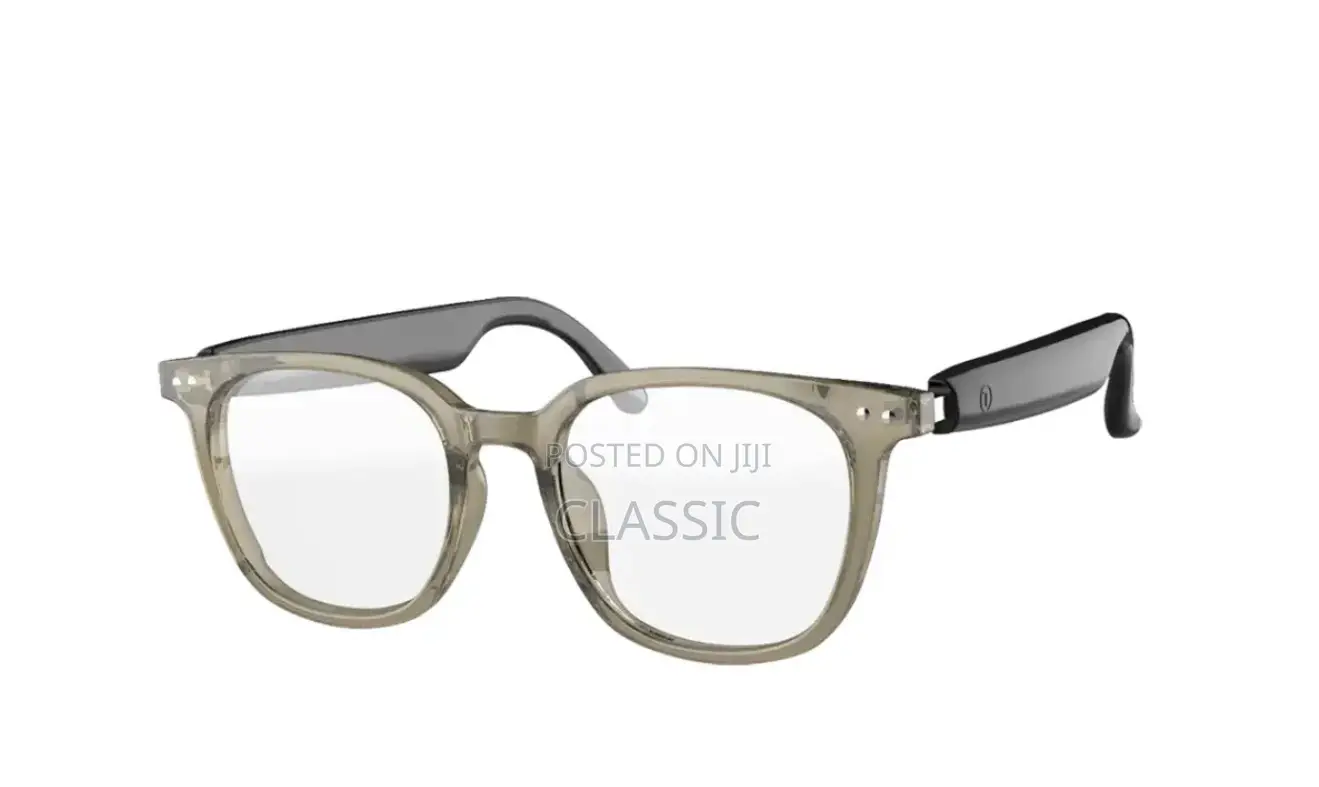 Green Lion Stockholm Smart Glasses