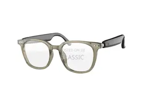 Green Lion Stockholm Smart Glasses