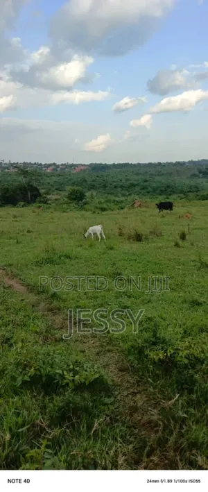 Photo - 280 Acres at Kasayi in Mukono District