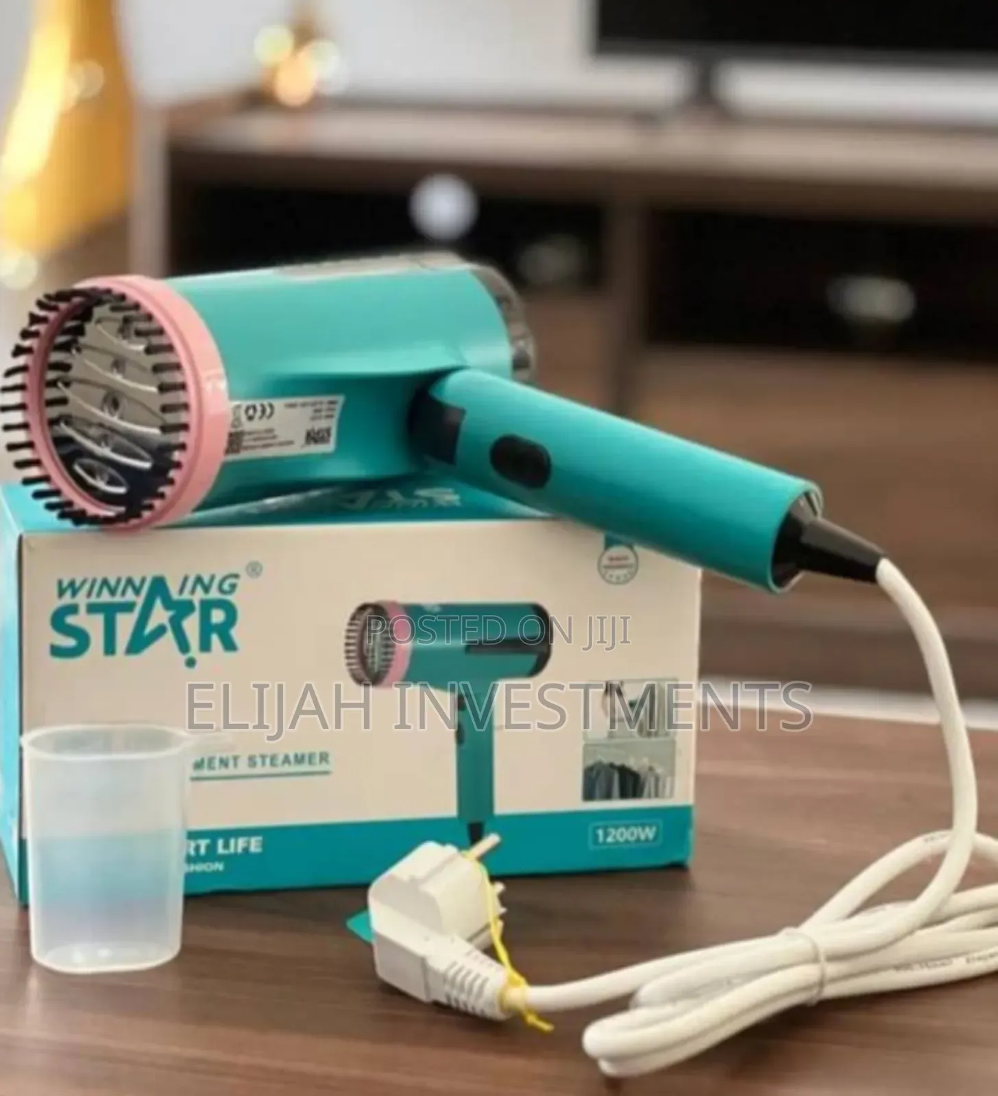 Garment Steamer