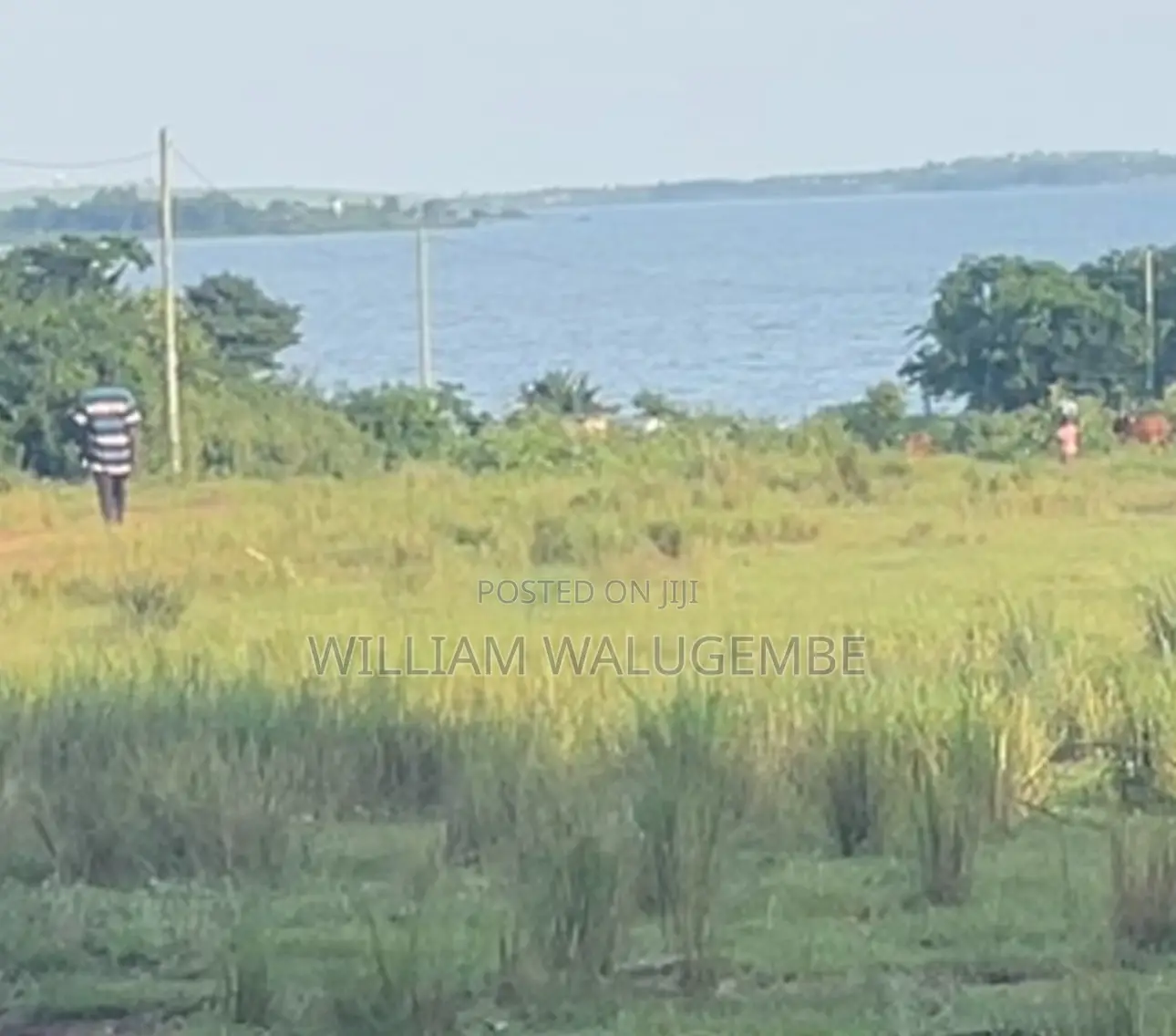 1 Acres With Lake View - Next to Mabamba Lodge Zziba