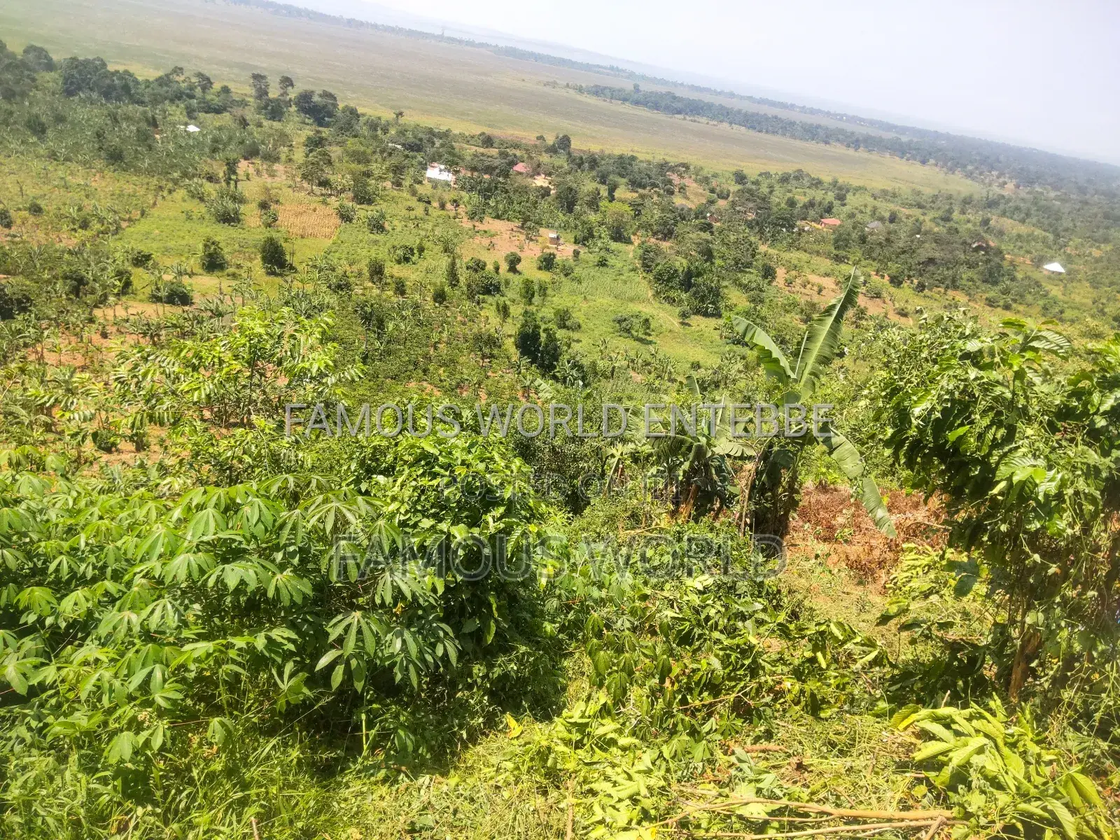 Bussi Island Land for Sale 30 Million Per Acre
