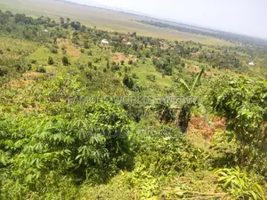 Bussi Island Land for Sale 30 Million Per Acre