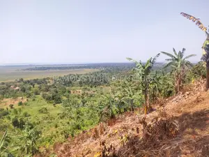 Bussi Island Land for Sale 30 Million Per Acre
