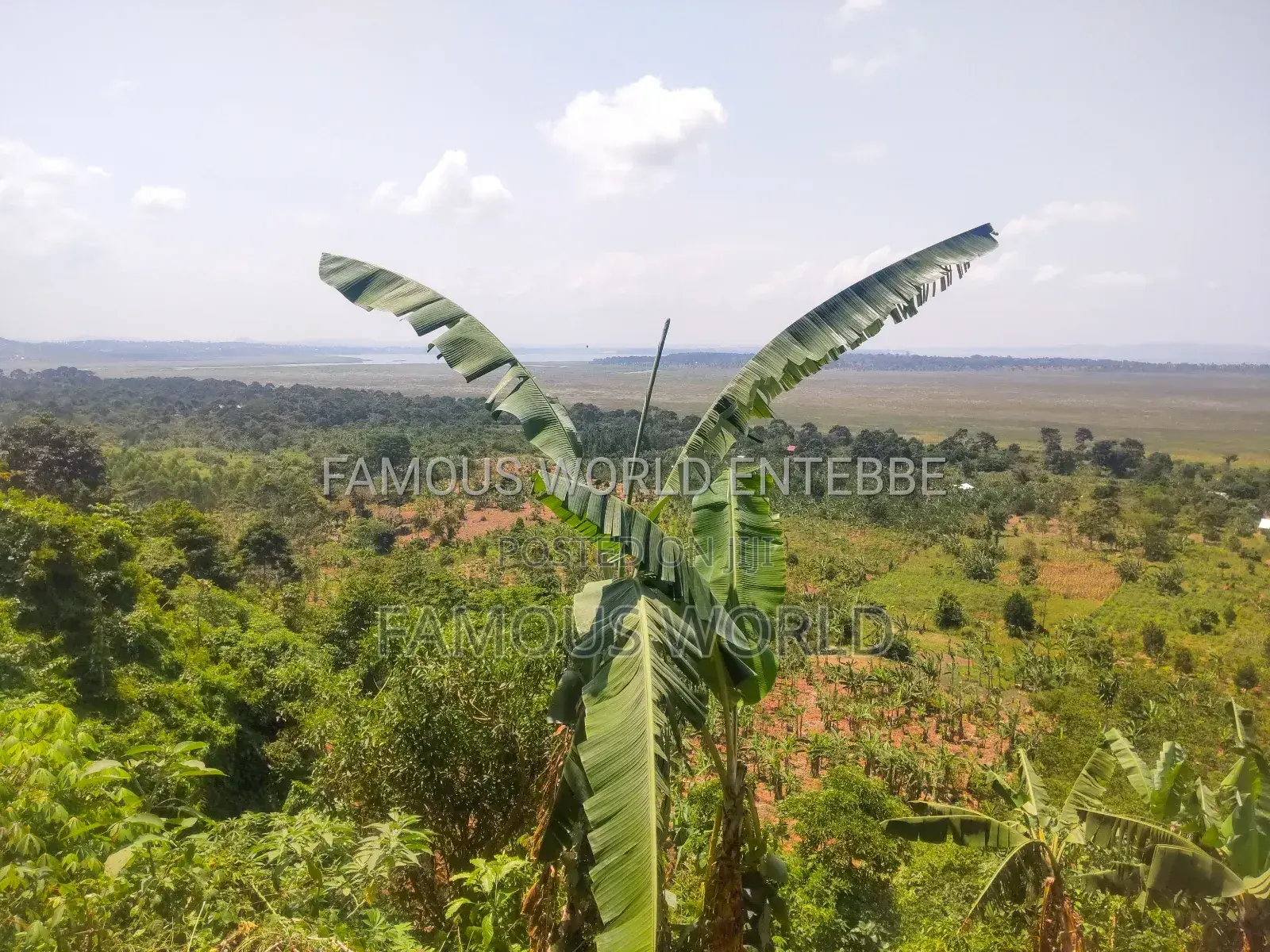 Bussi Island Land for Sale 30 Million Per Acre