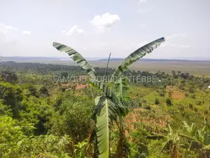 Bussi Island Land for Sale 30 Million Per Acre