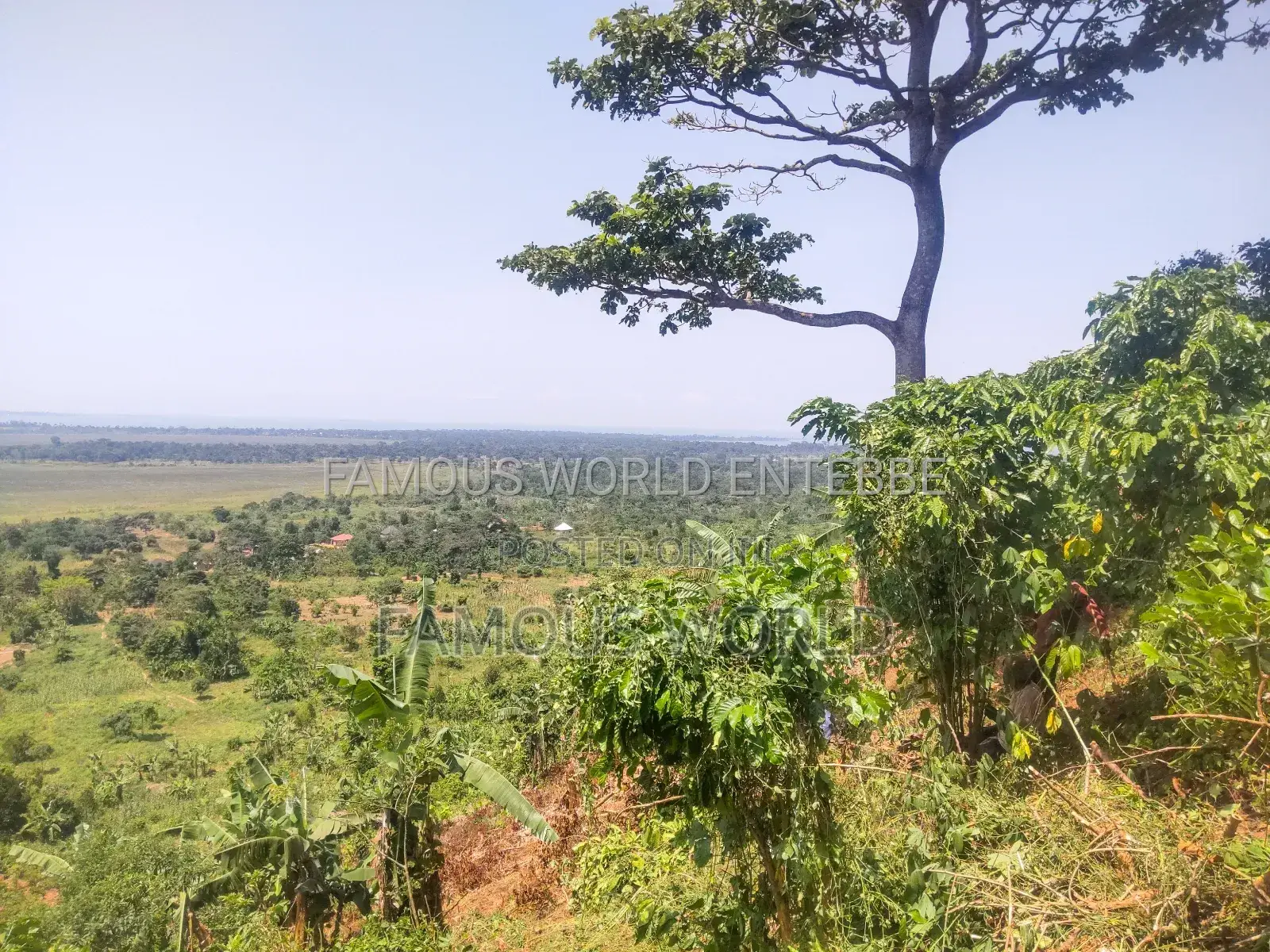 Bussi Island Land for Sale 30 Million Per Acre