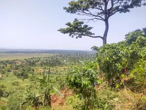 Bussi Island Land for Sale 30 Million Per Acre