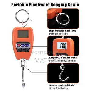 Crane Electronic Weighing Scale 200kg